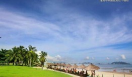 陵水最新爆料,揭秘神秘事件背后的真相