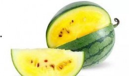 免费吃瓜哪里,带你探索网络娱乐新趋势