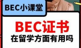 每日爆料吃瓜视频大全免费观看,免费观看吃瓜视频大全，揭秘娱乐圈幕后故事